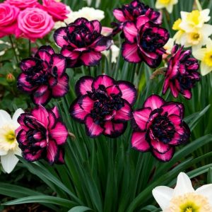 Нарцисс Золотая Корона купить по цене от 2000р. в интернет-магазине «Посадика» с доставкой почтой в в Алапаевске и по всей России – [изображение №1].